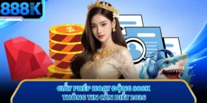 Giấy Phép Hoạt Động 888K - Thông Tin Cần Biết 2026